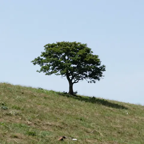 99adfa8a7c16ec53.png